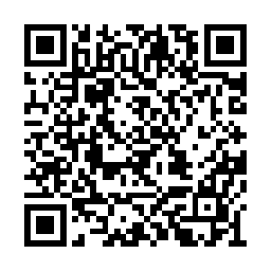这些问题在场间所有人的脑海里才刚刚开始出现二维码生成