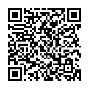 这些隐藏在沙丘四周的界主强者们并没有受到太严重的伤害二维码生成