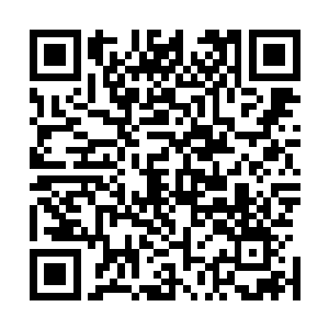 这些雇佣兵的控制落点和伞降着陆的动作简直都可以当教练二维码生成