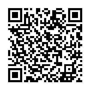 这些零散的画面似乎在描绘一个人把自己的指纹割去二维码生成