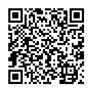 这些飞天蚁最恐怖的手段就是能无视任何能量形成的防护力二维码生成