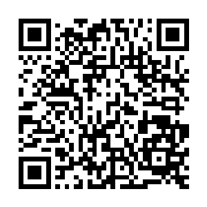 这些飞天蚁直接穿过了他们凭着本能以自身能量形成的防护罩二维码生成