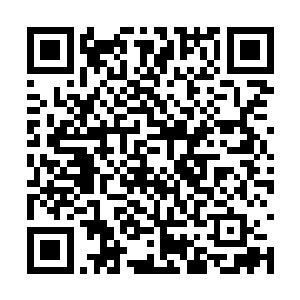 这些飞机只是经过hal的手之后立刻或者很快摔掉的二维码生成