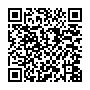 这些饱含着油脂的草球瞬间就围着定远寨的东墙熊熊燃烧二维码生成