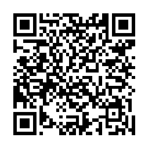 这些骑马的精灵看起来就是朝着风奇泽和李阿文这边而来二维码生成