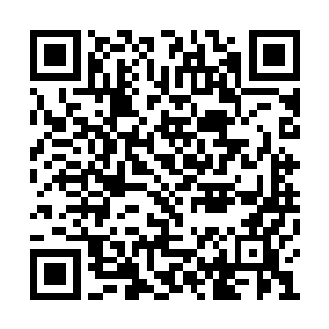 这些骷髅之前还帮助我们从客栈之中逃了出来啊二维码生成