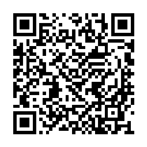 这些骷髅头的存在好似在给所有人传递一个信息二维码生成