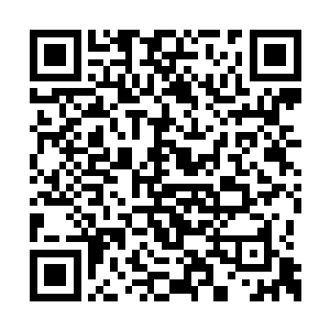 这些高级不朽神体对主宰的提升却已经不太明显二维码生成