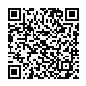 这些高能实验室负责人才能吸引众多人才在自己麾下二维码生成