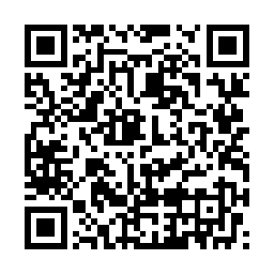 这些鬼魂就好像是特意站在路边等候这辆公交车的二维码生成