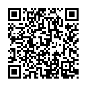 这些魔将和魔帅化作一根根筷子大小的乌黑毫刺二维码生成
