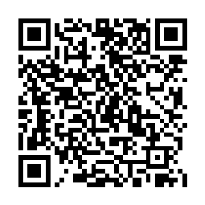 这些魔族也知道苍澜宗并没有太过重视黑幕仙城二维码生成