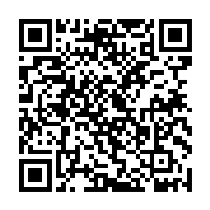 这些鱼占据了内海对于我们的客人会造成很大的困扰二维码生成