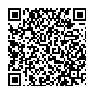 这些鱼应该就是昨天我和林烽一直在各地的水库里面吞噬积水的时候二维码生成