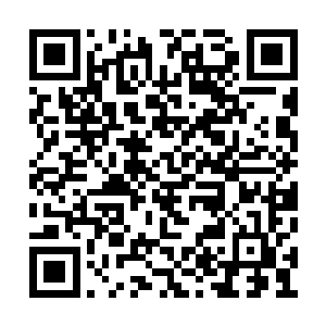 这些鲜活的生命们都只是你的异想天开的游戏场二维码生成
