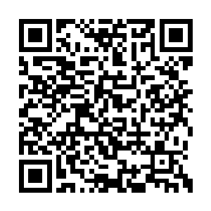 这些黑光和红光最终也只会成为幽冥鬼火的养料二维码生成