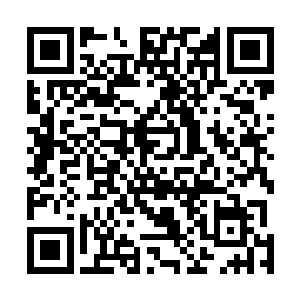 这些黑色的纹理带着点点淡淡的不同于荆胜龙皮肤的白色二维码生成