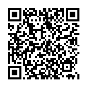 这些黑衣人正式日本本土黑龙会还有山口组的人二维码生成