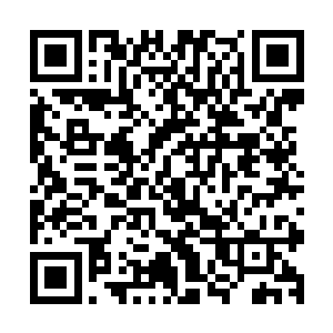 这些黑鹰的虚影盘旋了一番以后直接进入了五个人的手臂之中二维码生成