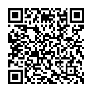 这交束脩的事儿我已经跟孩子几个舅舅商量过了二维码生成