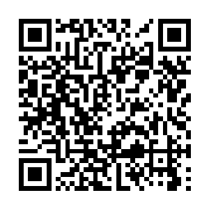 这亦是为何这场比赛会吸引如此多的高手亲临现场二维码生成