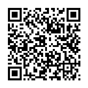 这人……要么这下面已经被对方事先挖空和布置过二维码生成