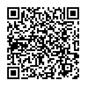 这人 到底是个什么样的人观看一下章复制本地址到浏览器看最新章节二维码生成