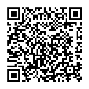 这人参果便是天地间极少数能够快速恢复信仰之基所受损伤的灵物之一二维码生成