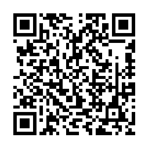 这人头便一下子飞射向了旁边那由十几万具死尸凝结成的巨球二维码生成