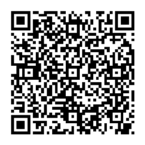 这人尊期大修士之间的战斗应该比马晶莹那种仙帝期的修士之间的战斗精彩很多吧二维码生成