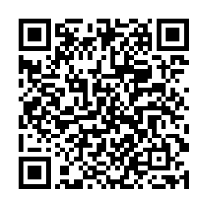 这人形雷劫也在跟楚旬的对轰之中变得变得越来越弱二维码生成