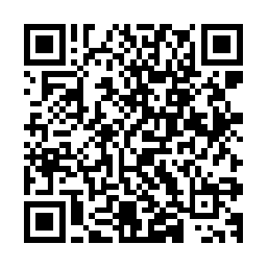 这人胆……韩飞廉以下所有的锦衣校尉都起了一身的鸡皮疙瘩二维码生成