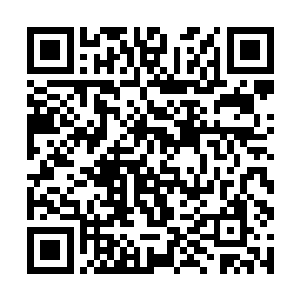 这人腐烂的眼眶和雪白的鼻梁骨一起曝露在了月光下二维码生成