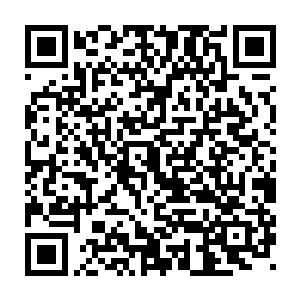 这人鱼人都是东乌国利用海洋生物基因技术研究制造出来的特异人类二维码生成