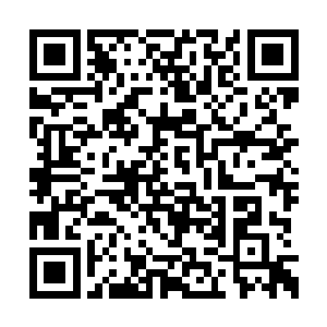 这从楚旬身上涌出的黑光和红光虽然诡异而强大二维码生成