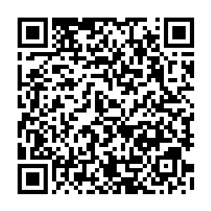 这从那十几个被带来的高阶炼气期弟子望向自己那探究和不屑的目光就可以看出二维码生成