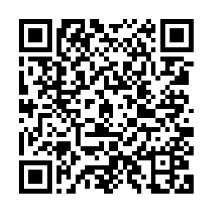 这他么是一具尸体还是腐烂的玛德我都能感受到她嘴里的坑洞了二维码生成