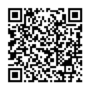 这仙洁花就是一种生长在沼泽绝地之内的解毒之物二维码生成
