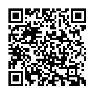 这代表前线观察到的魔族方面出动的翼魔的数量二维码生成