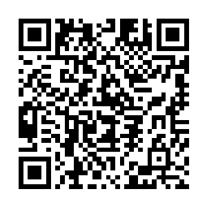 这以后阿灵有了什么好吃的东西头一个吃的就是她们和博文二维码生成