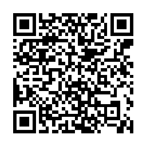 这件事一定会让周家成为星风城其他家族口中的笑料二维码生成