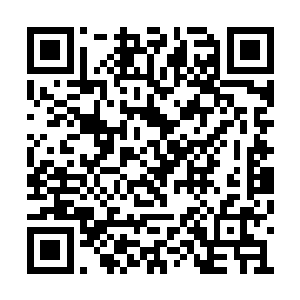 这件事威廉的任务很简单几乎都是走走过场而已二维码生成