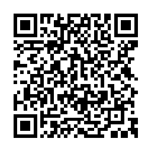 这件事就是你和周水金联合起来设下的一个圈套二维码生成