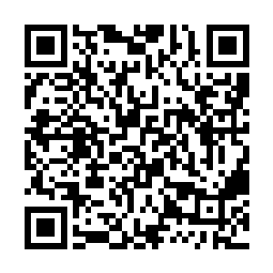 这件事情村两委已经和天水农药厂签订了合法的合同二维码生成