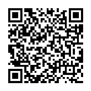 这件事情理应要你点头――现在方家人把聘礼都给送过来了二维码生成