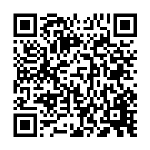 这件事情虽然对着禹庆雨甚至整个诸葛家族都十分的重要二维码生成