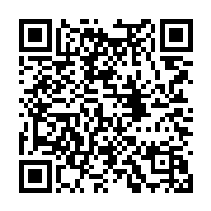 这件事情要是传到了那位大乘期的魔道修士的耳中二维码生成