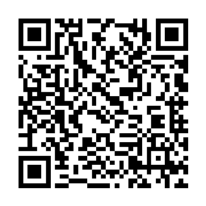 这件事搞的很大最终曼谷那边的人也没办法保他了二维码生成