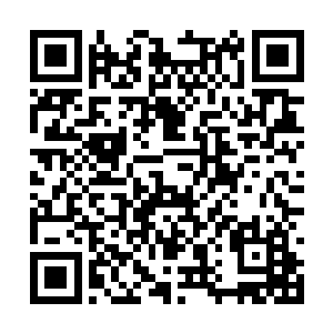 这件宝贝能够承受丹田穴窍境初期强者的全力一击二维码生成