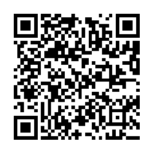 这件棉T恤和那件连衣裙凌乱的缠裹在一起的情景二维码生成